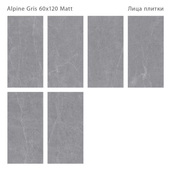 Керамогранит матовый Silk 60х120 ALPINE GRIS — изображение 2
