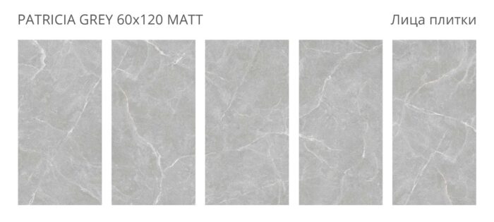 Керамогранит матовый Rizzi 60x120 PATRICIA GREY 60x120 MATT — изображение 2