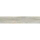 Керамогранит Provance PROVANCE AQUA 20x120 Carving