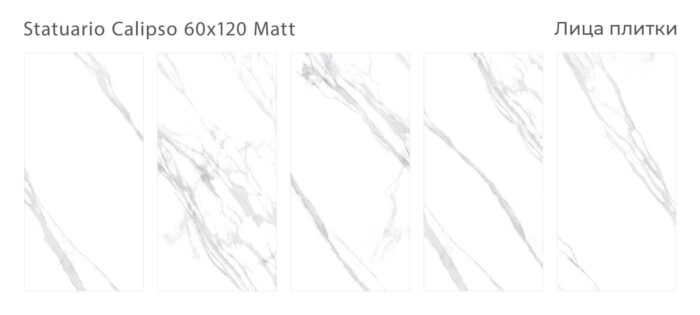 Керамогранит матовый Silk 60х120 STATUARIO CALIPSO — изображение 2