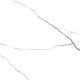 Керамогранит Керамопро Elegance White 60х60