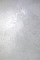 Керамогранит Arcadia Ceramica ARCSTONE GREY 60x120 см — изображение 7