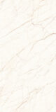 Керамогранит Arcadia Ceramica CEASAR 60x120 см — изображение 2