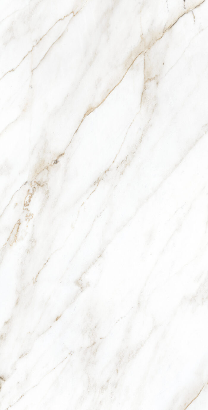 Керамогранит Arcadia Ceramica SELVA GOLD 60x120 см — изображение 7
