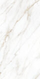 Керамогранит Arcadia Ceramica SELVA GOLD 60x120 см — изображение 7