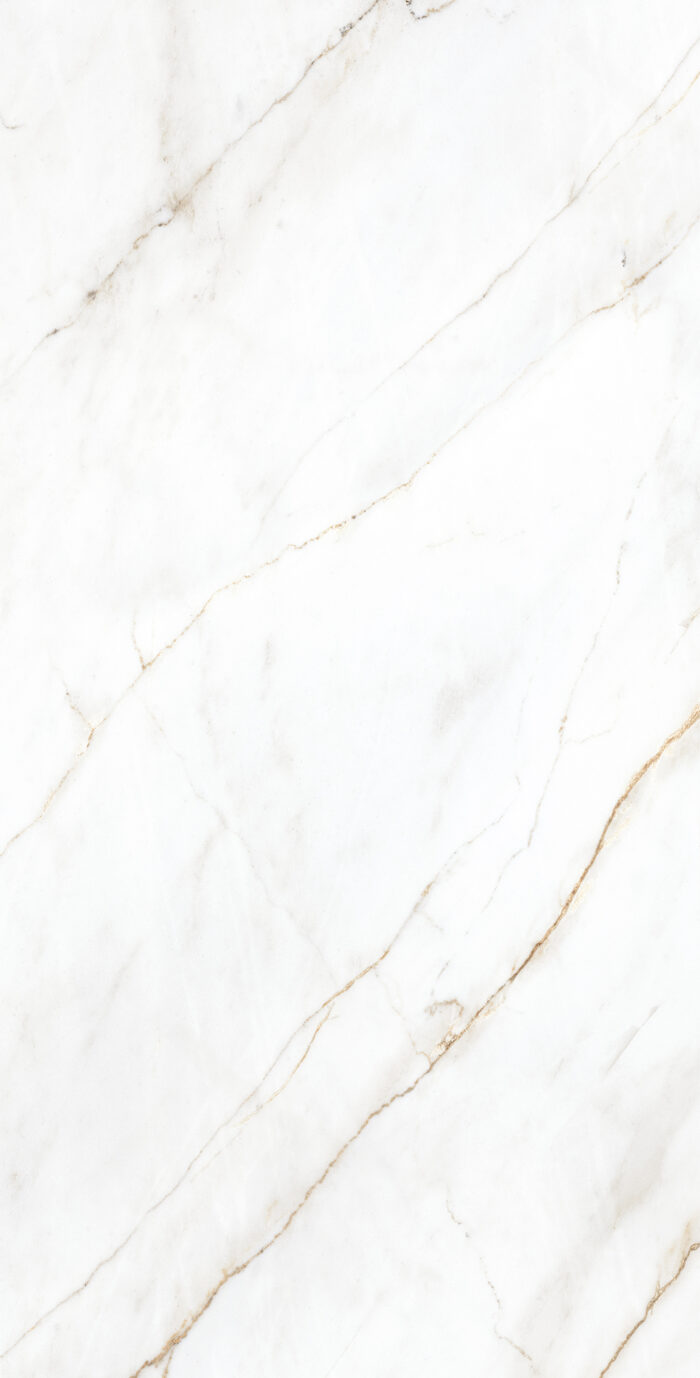 Керамогранит Arcadia Ceramica SELVA GOLD 60x120 см — изображение 9