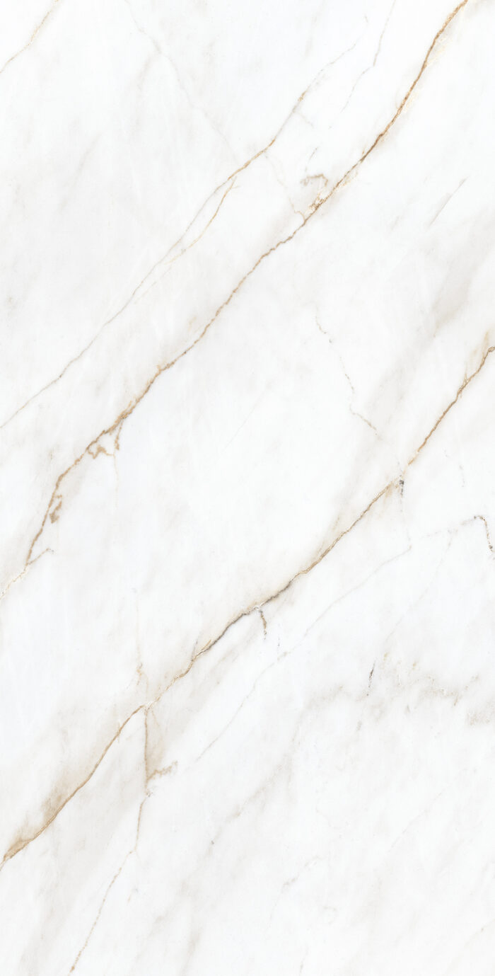 Керамогранит Arcadia Ceramica SELVA GOLD 60x120 см — изображение 10