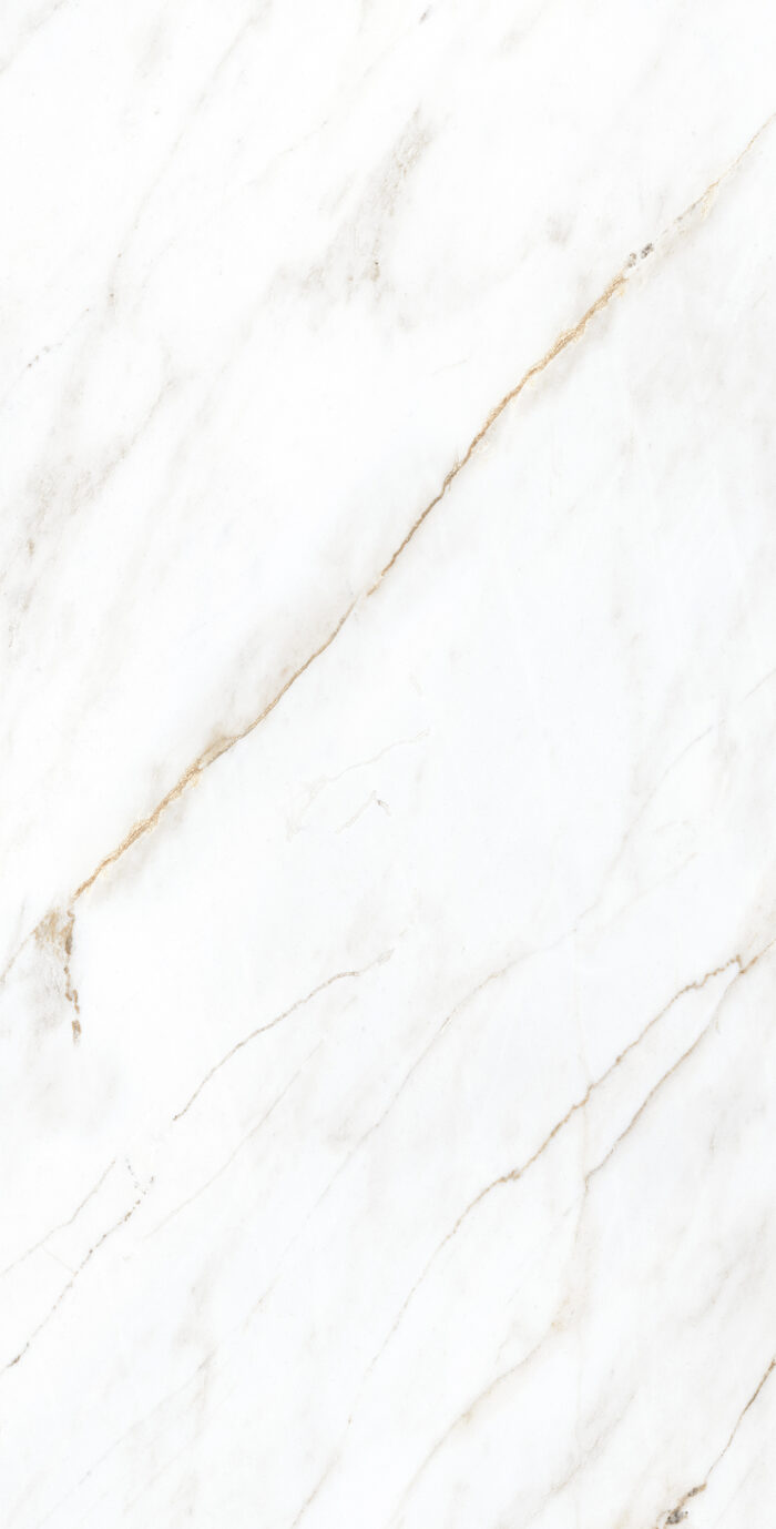 Керамогранит Arcadia Ceramica SELVA GOLD 60x120 см — изображение 8