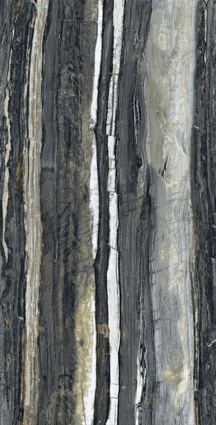 Керамогранит Arcadia Ceramica BRAZZILIAN BLACK 60x120 см — изображение 2