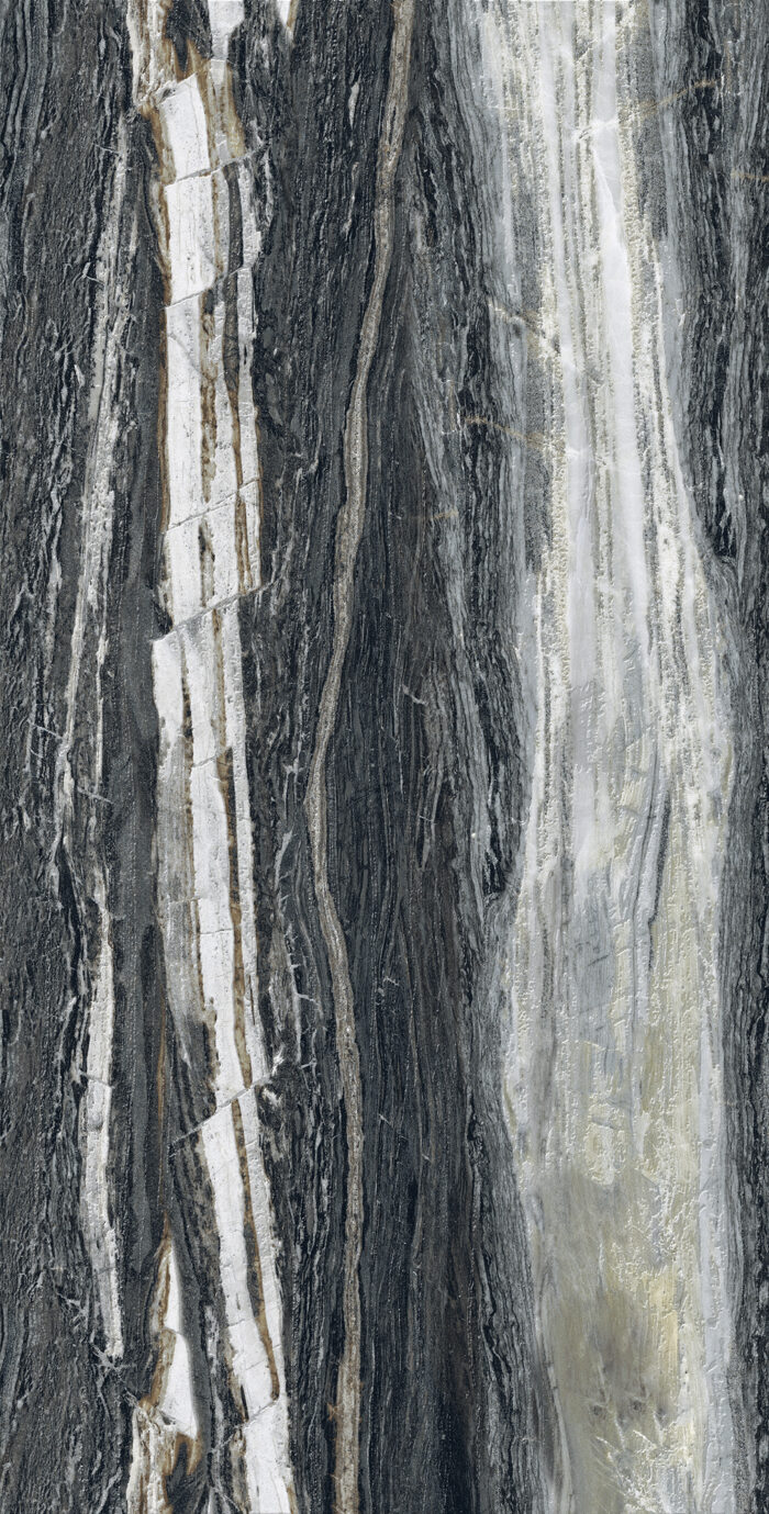 Керамогранит Arcadia Ceramica BRAZZILIAN BLACK 60x120 см — изображение 5