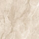 Керамогранит Arcadia Ceramica BOLIVIA SAND 60x60 см — изображение 11