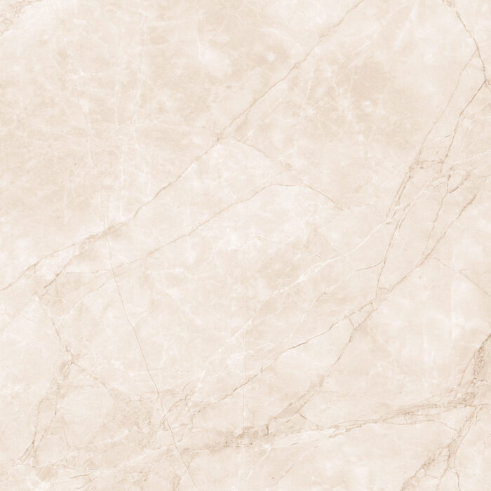 Керамогранит Arcadia Ceramica ARCTIC PEARL 60x60 см — изображение 4