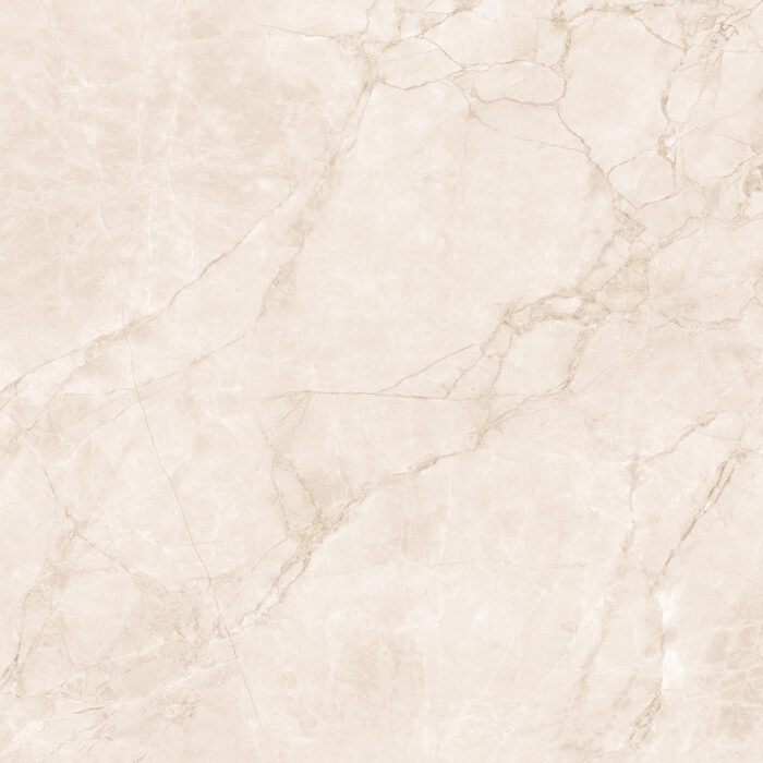 Керамогранит Arcadia Ceramica ARCTIC PEARL 60x60 см — изображение 5