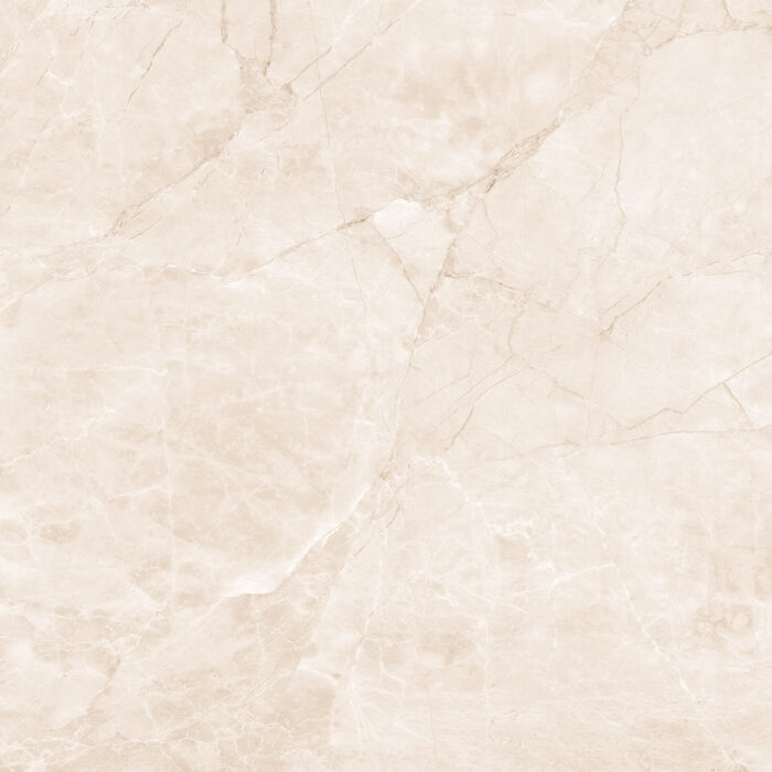 Керамогранит Arcadia Ceramica ARCTIC PEARL 60x60 см — изображение 7