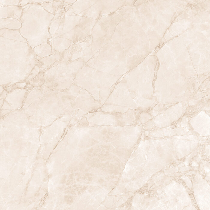 Керамогранит Arcadia Ceramica ARCTIC PEARL 60x60 см — изображение 6