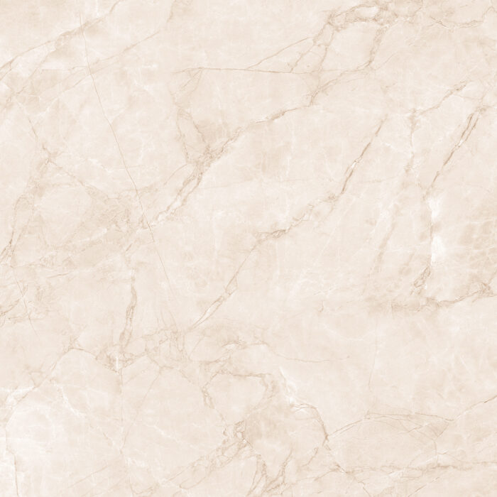 Керамогранит Arcadia Ceramica ARCTIC PEARL 60x60 см — изображение 8