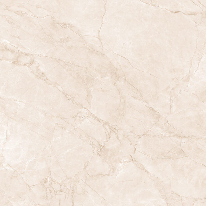 Керамогранит Arcadia Ceramica ARCTIC PEARL 60x60 см — изображение 9