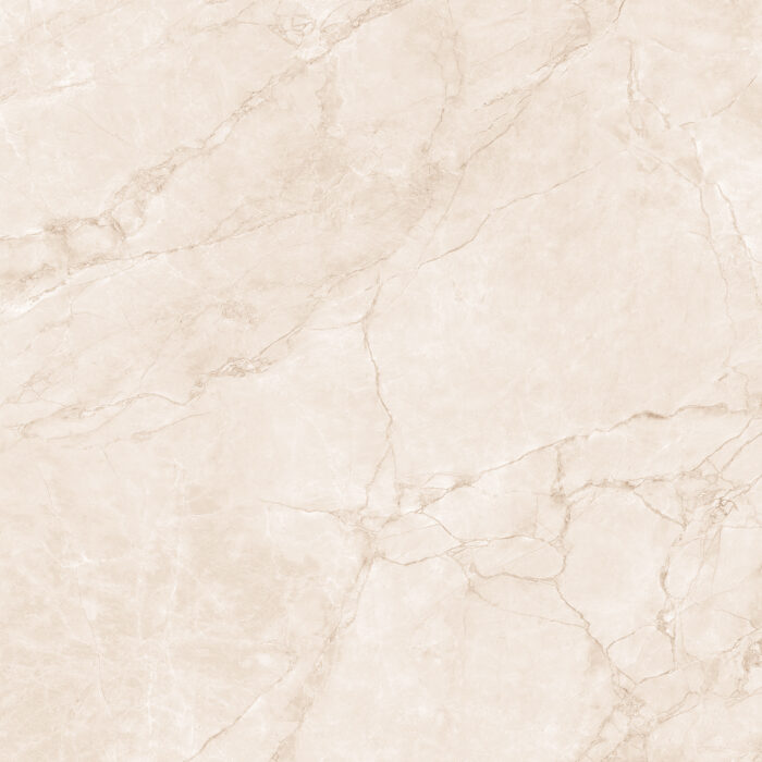 Керамогранит Arcadia Ceramica ARCTIC PEARL 60x60 см — изображение 11