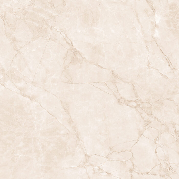 Керамогранит Arcadia Ceramica ARCTIC PEARL 60x60 см — изображение 12