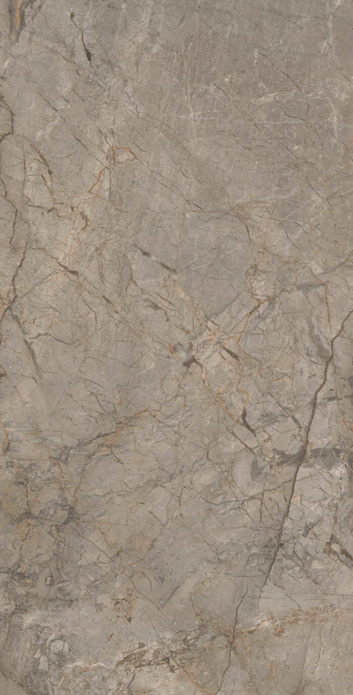 Керамогранит Arcadia Ceramica MISTRAL BROWN 60x120 см — изображение 3
