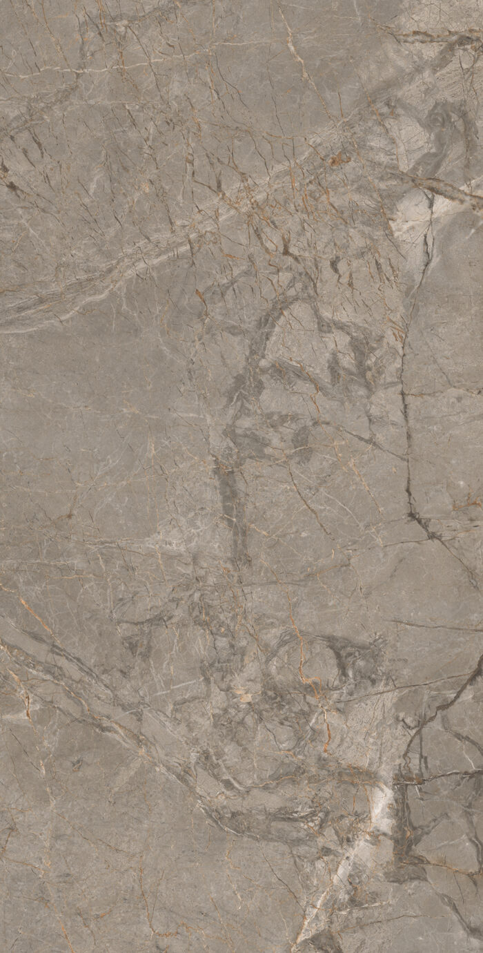 Керамогранит Arcadia Ceramica MISTRAL BROWN 60x120 см — изображение 5