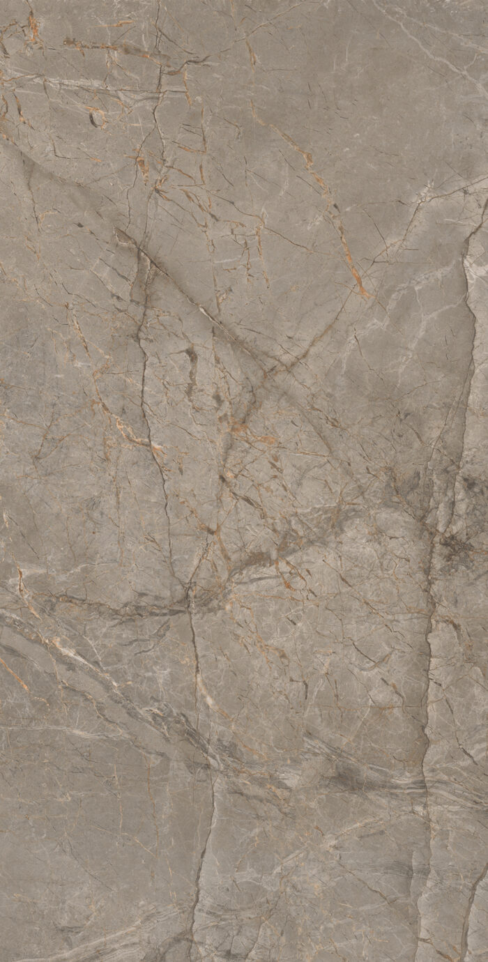 Керамогранит Arcadia Ceramica MISTRAL BROWN 60x120 см — изображение 6