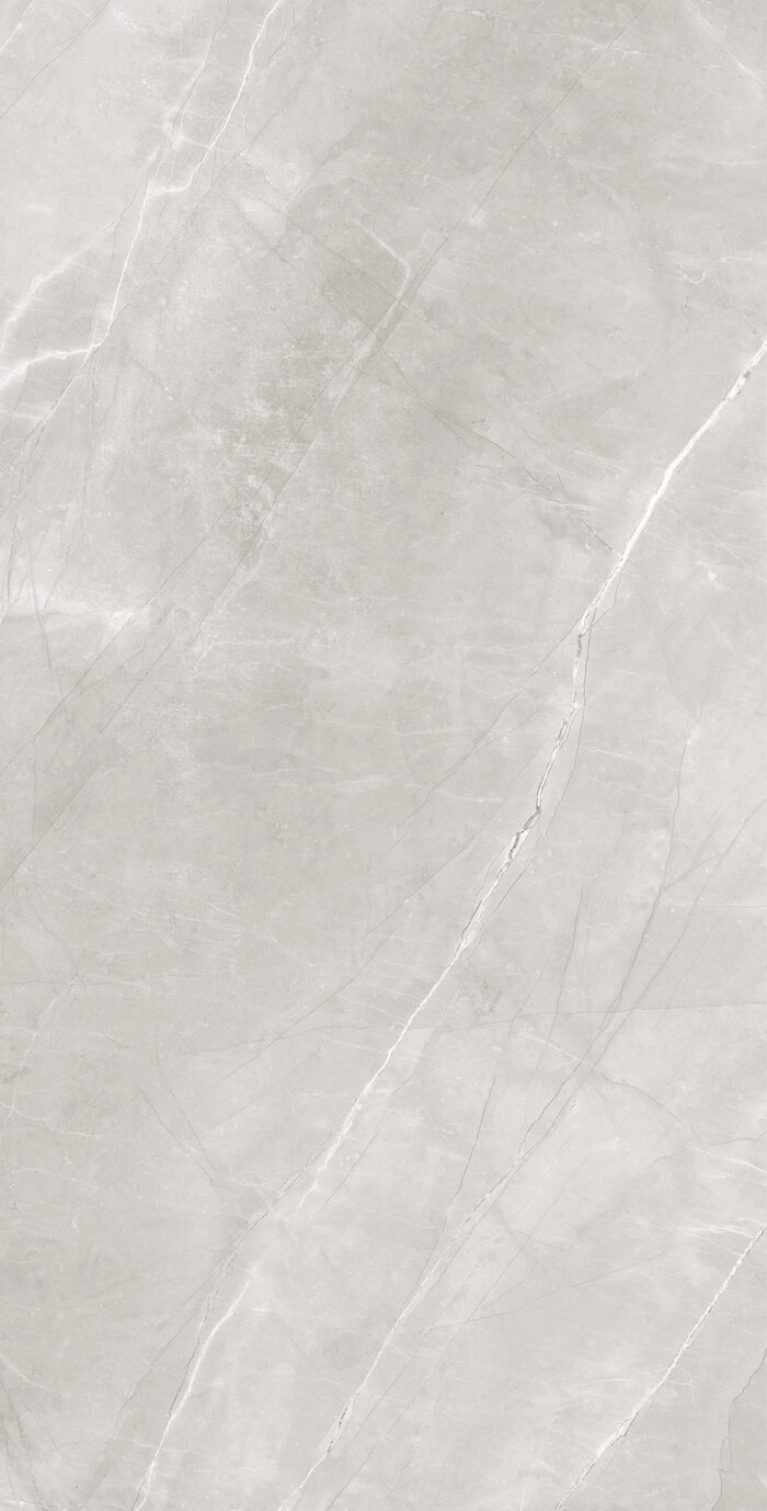 Керамогранит Arcadia Ceramica ARMANI SILVER 60x120 см — изображение 5