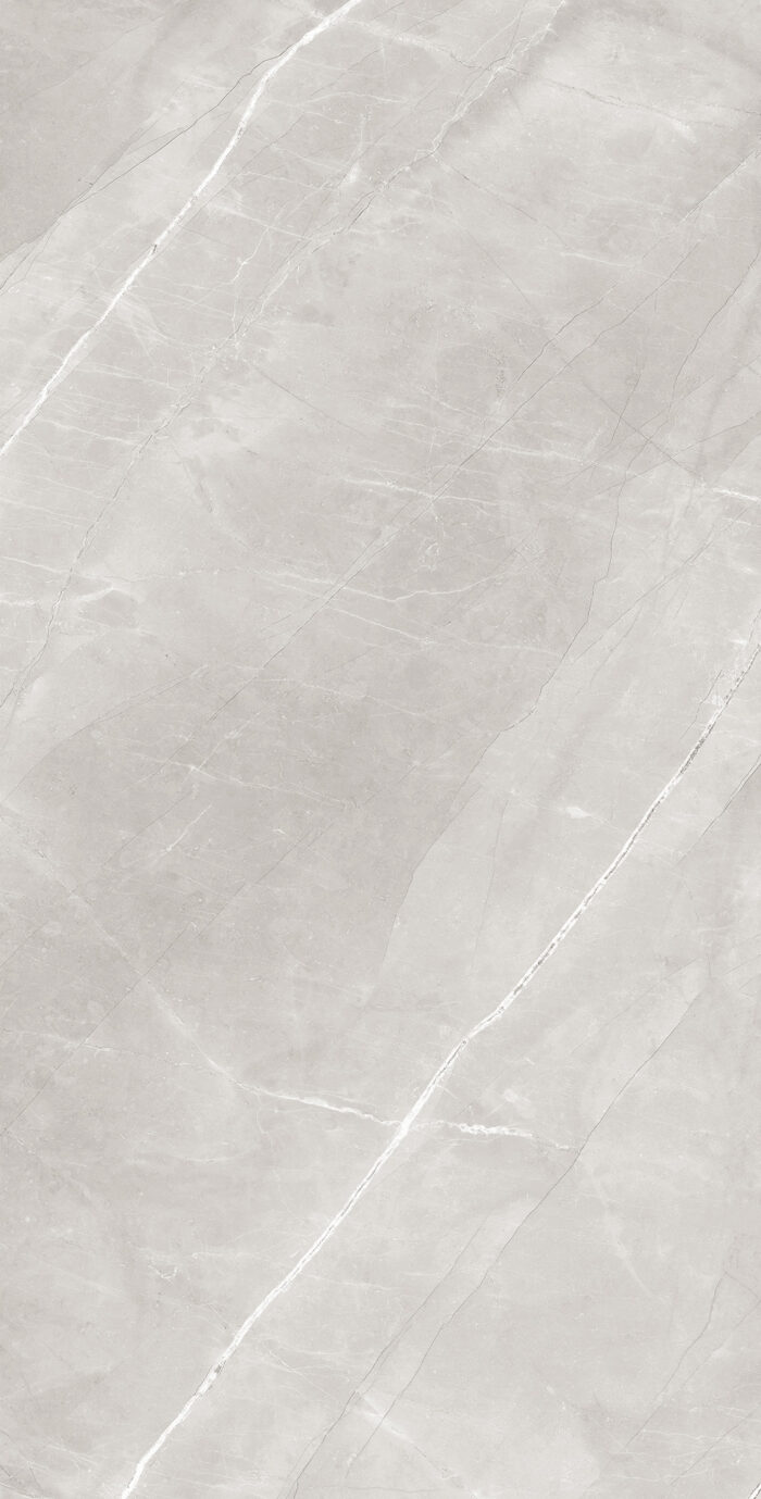 Керамогранит Arcadia Ceramica ARMANI SILVER 60x120 см — изображение 6