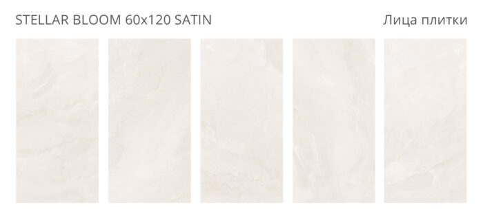 Керамогранит Staro Bogema STELLAR BLOOM 60x120 см SATIN — изображение 2